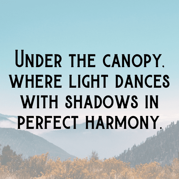 Rainforest Captions Photo for Instagram-89ZTGS