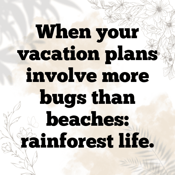 Rainforest Captions Photo for Instagram-aOPaUZ