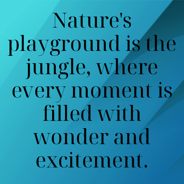 Rainforest Captions Photo for Instagram-cUyFnH