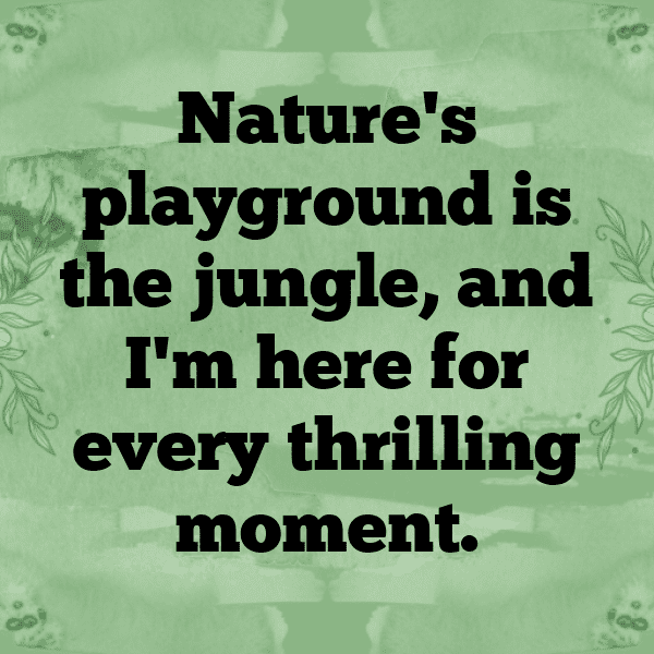 Rainforest Captions Photo for Instagram-izhAau