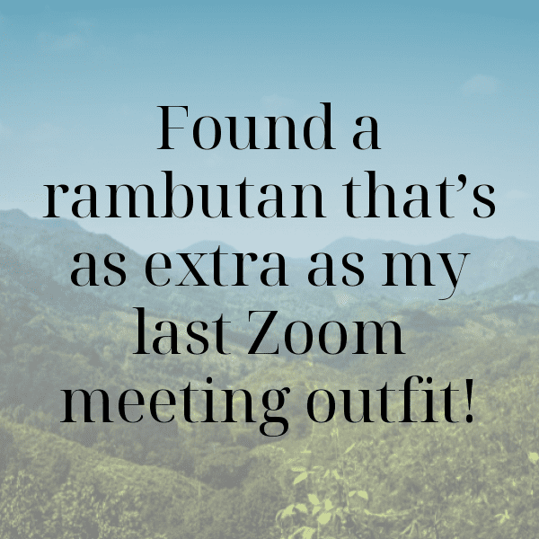 Rambutan Captions Photo For Instagram-6qeZDs