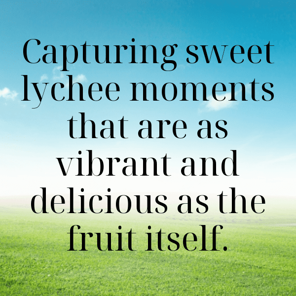 Rambutan Captions Photo For Instagram-K88KXl