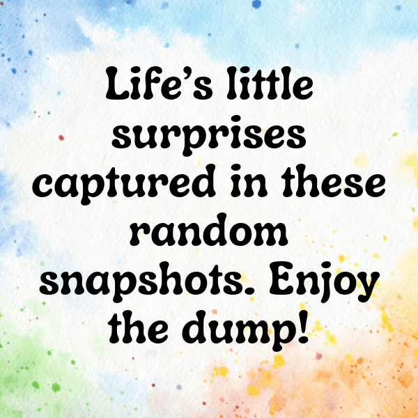 Random Photo Dump Captions Image For Instagram-19Di6n