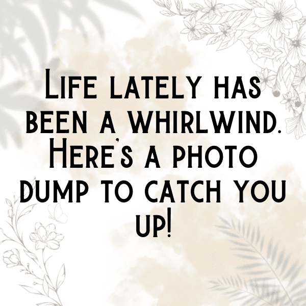 Random Photo Dump Captions Photo For Instagram-124N4U