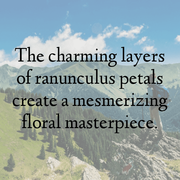 Ranunculus Captions Image For Instagram-gEYCLA