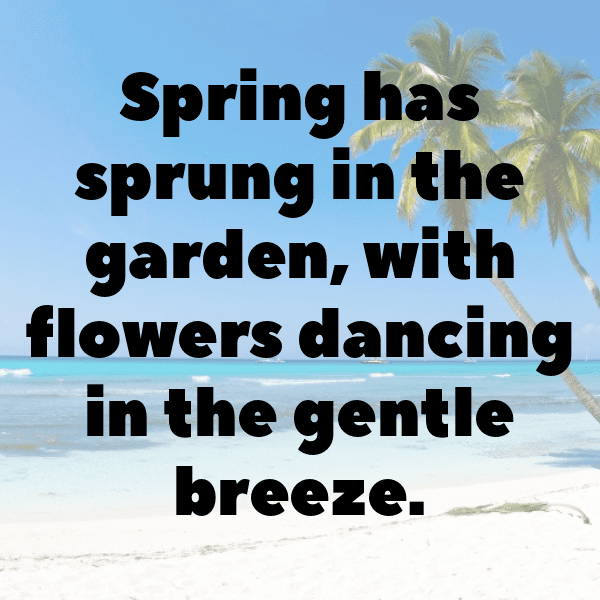 Ranunculus Captions Image For Instagram-ifXaay