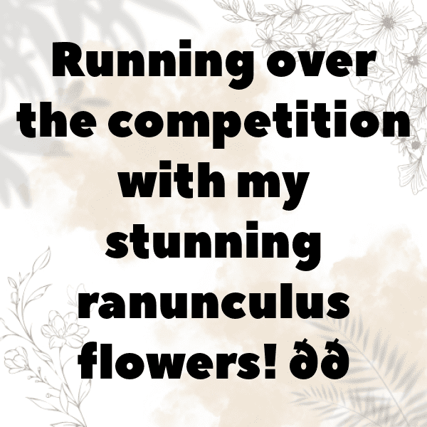 Ranunculus Captions Photo For Instagram-ToYzSh