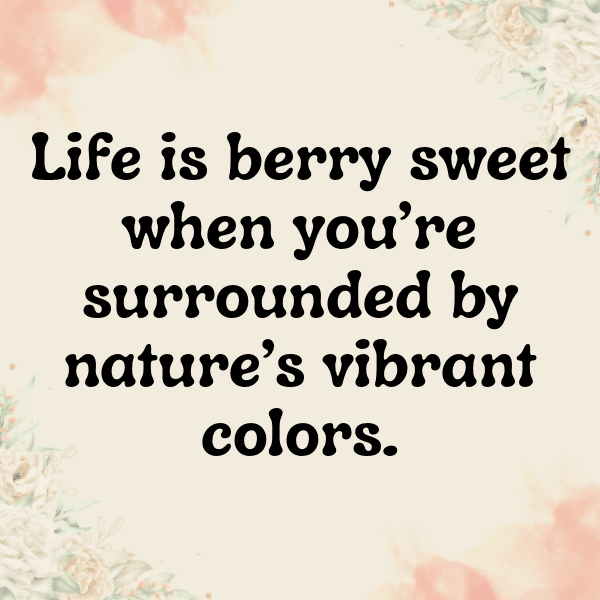 Raspberry Captions Image For Instagram-6rQ73K