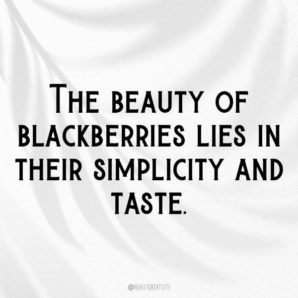 Raspberry Captions Photo For Instagram-RGmYRQ