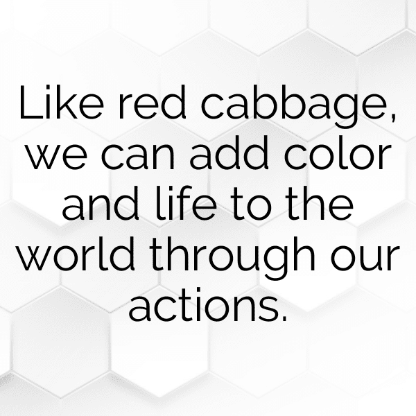 Red Cabbage Captions Image For Instagram-AcH1w8