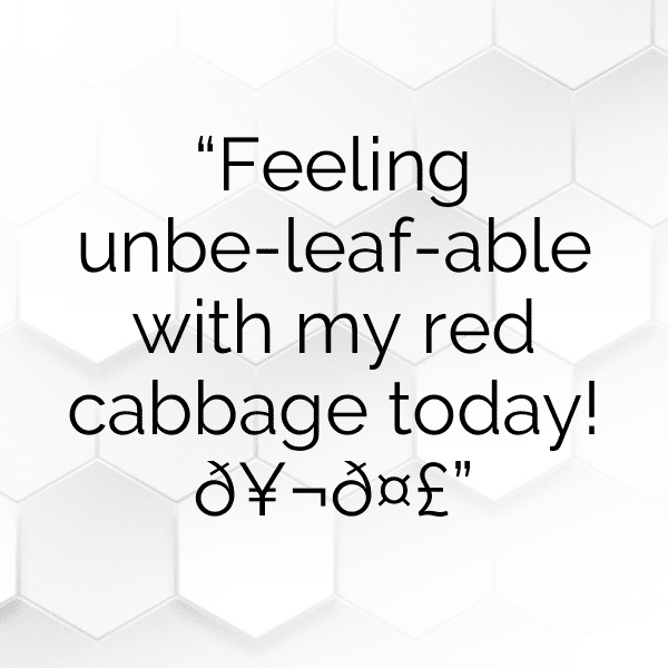 Red Cabbage Captions Image For Instagram-PduDph