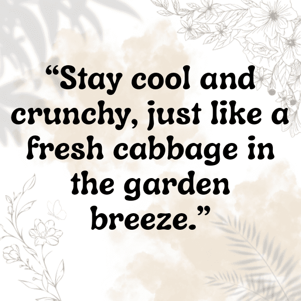 Red Cabbage Captions Photo For Instagram-sQ9eGW