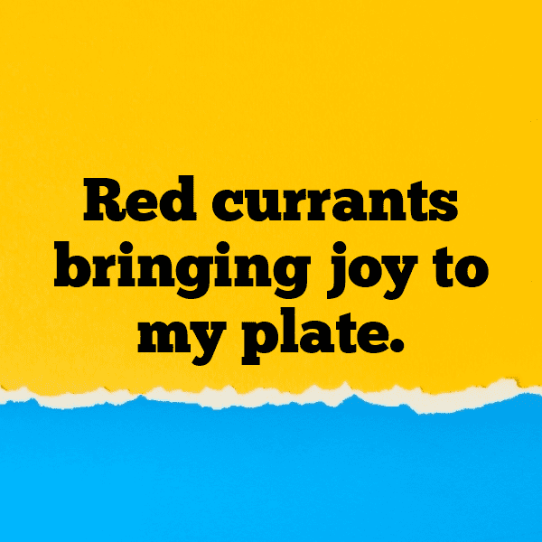 Red Currant Captions Image For Instagram-5XDzui