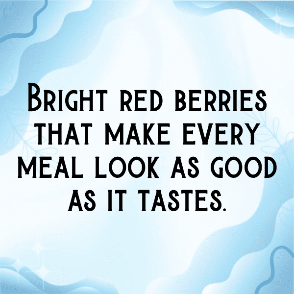 Red Currant Captions Image For Instagram-x0BkFE