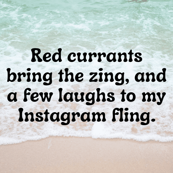 Red Currant Captions Photo For Instagram-9ISeD4