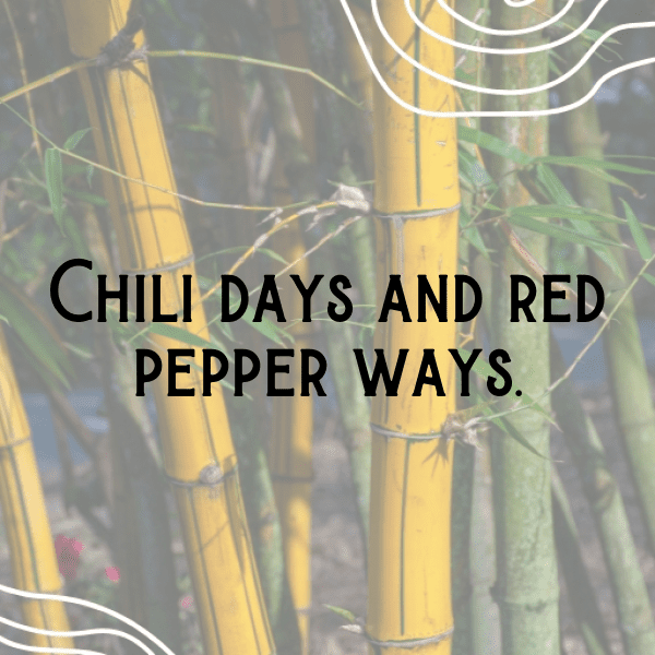Red Pepper Captions Photo For Instagram-9QX0n9