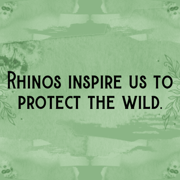 Rhinoceros Captions Image For Instagram-tlkh6i