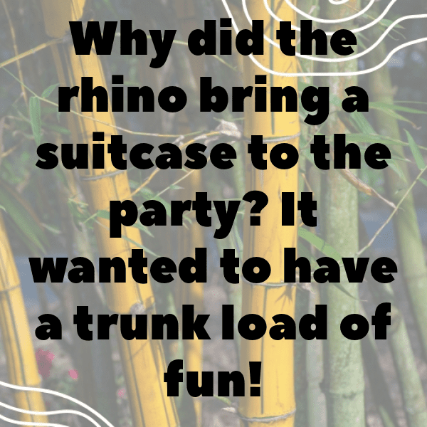 Rhinoceros Captions Photo For Instagram-OPK8gP