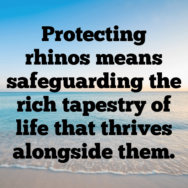 Rhinoceros Captions Photo For Instagram-PgFMrq