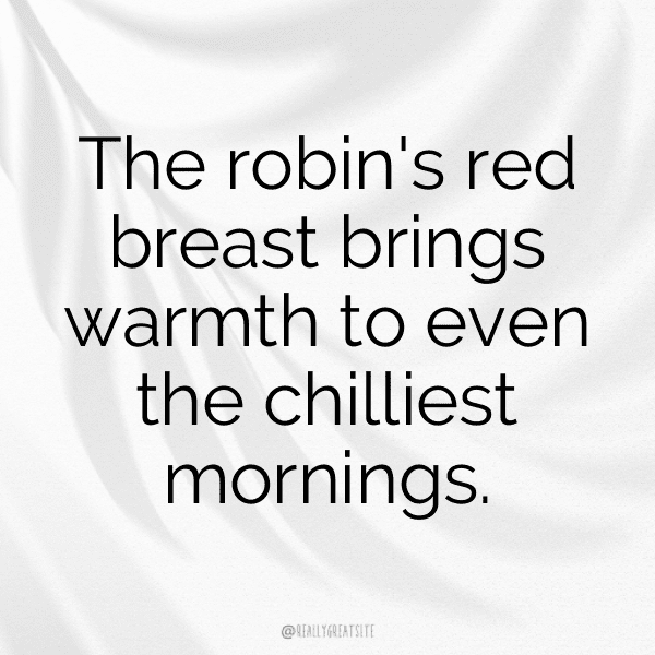 Robin Captions Image For Instagram-Ifx4cS