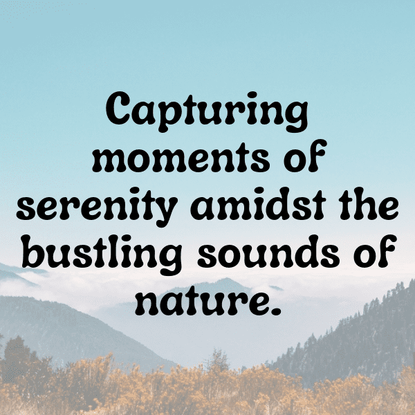 Robin Captions Photo For Instagram-rfHhLQ