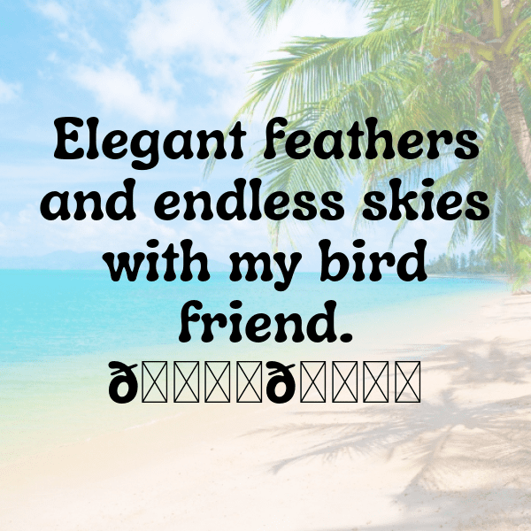 Robin Captions Photo For Instagram-wFntox