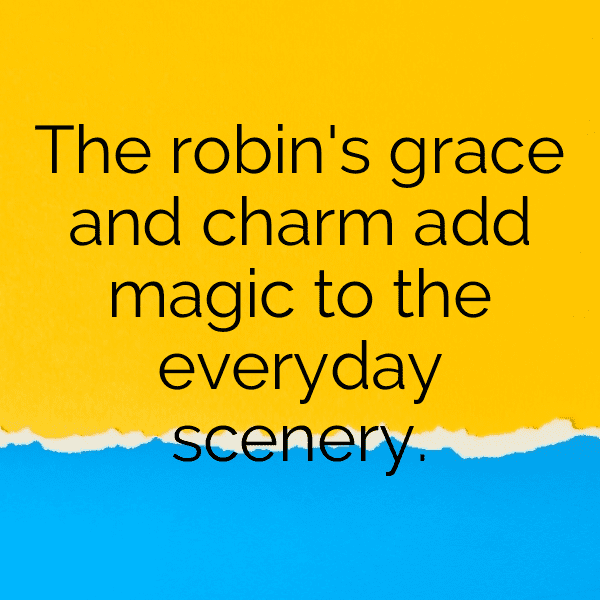 Robin Captions Photo For Instagram-WwyqHz