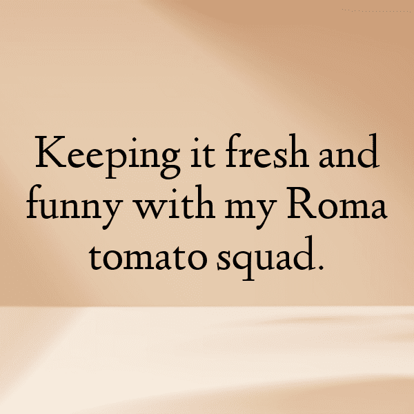 Roma Tomato Captions Image For Instagram-VUHxKi