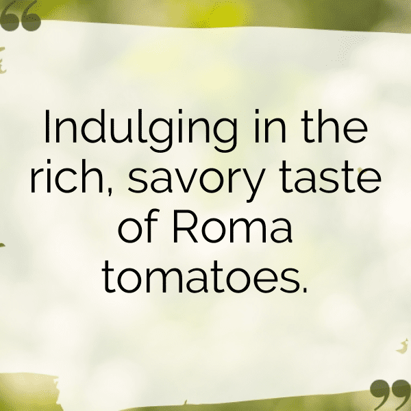 Roma Tomato Captions Photo For Instagram-AeoGl7