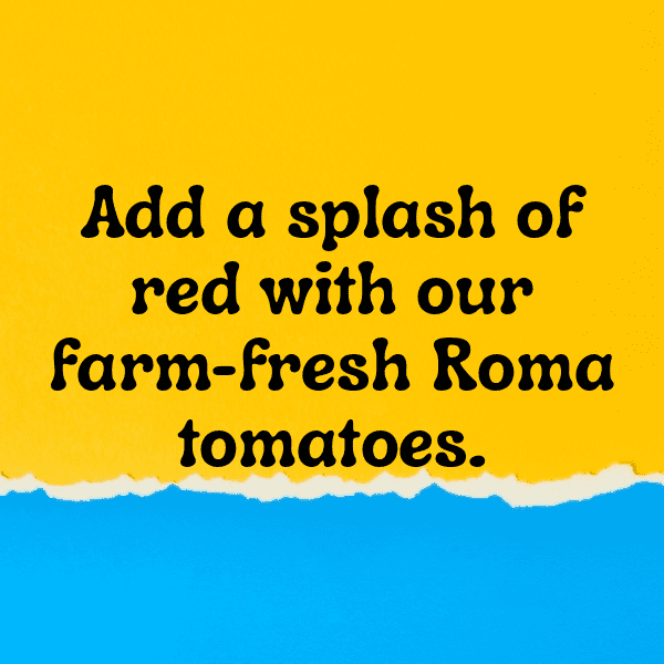 Roma Tomato Captions Photo For Instagram-i7JSGw