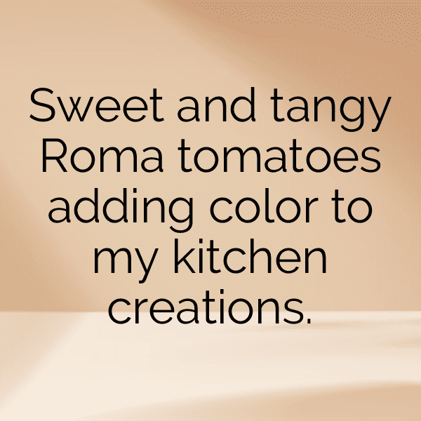 Roma Tomato Captions Photo For Instagram-SkNWRe