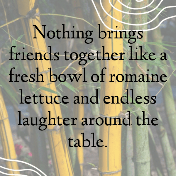 Romaine Lettuce Captions Photo For Instagram-7MypaS