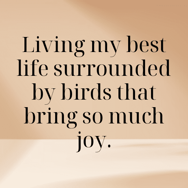 Rooster Captions Image For Instagram-U2tzeZ