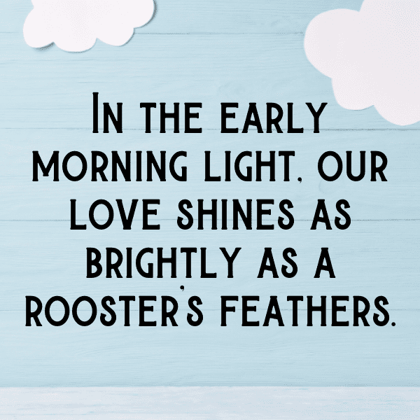 Rooster Captions Photo For Instagram-0MQLy4