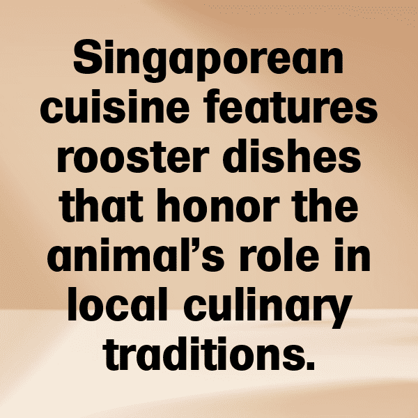 Rooster Captions Photo For Instagram-EFdNi9