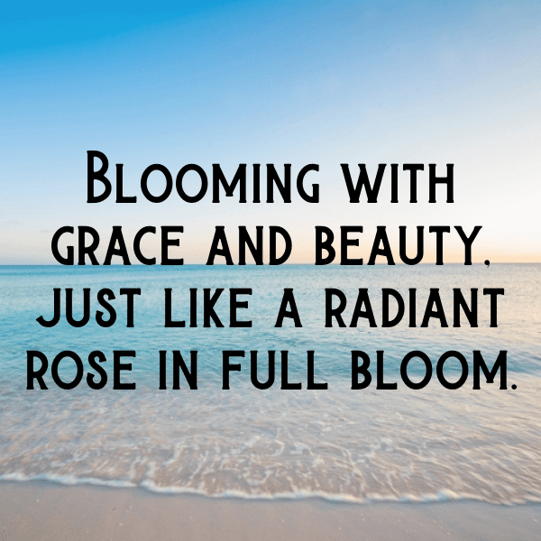 Rose Captions Image For Instagram-HG8x0Q