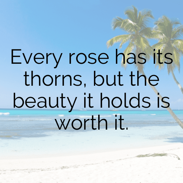 Rose Captions Photo For Instagram-bj6Op1