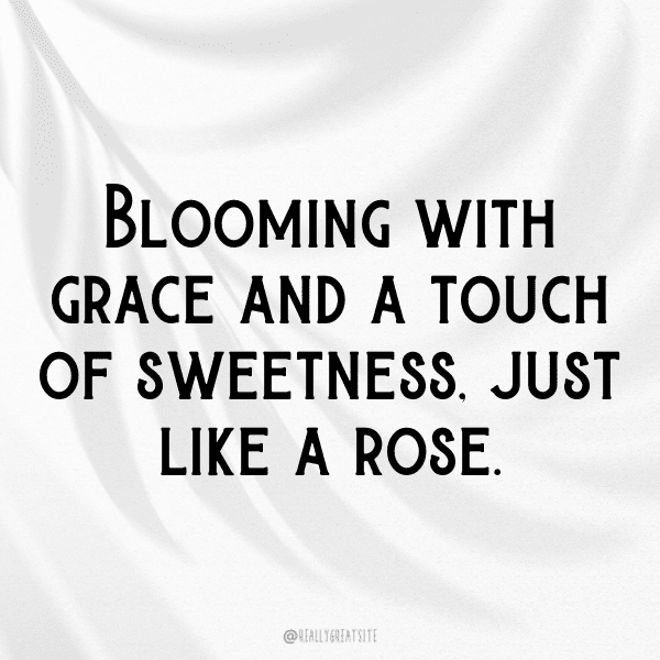 Rose Captions Photo For Instagram-dTYN2P