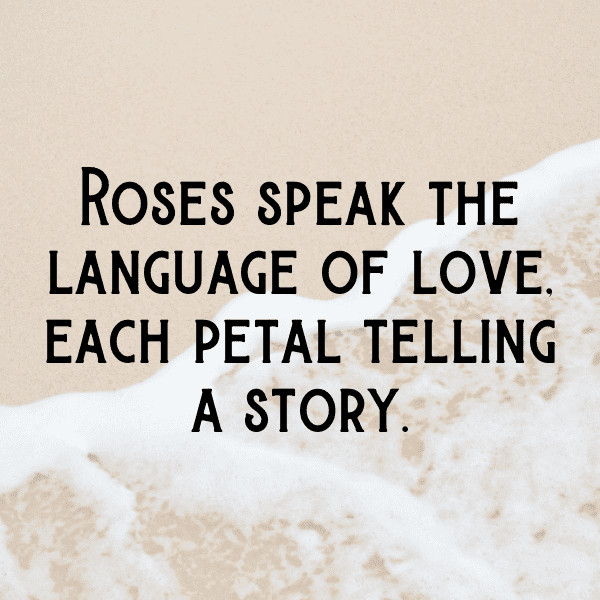 Rose Captions Photo For Instagram-EpXFz9