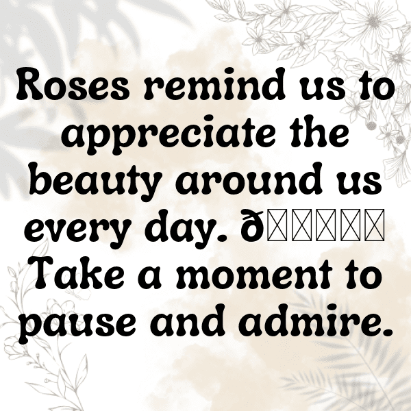 Rose Captions Photo For Instagram-gGAPM3