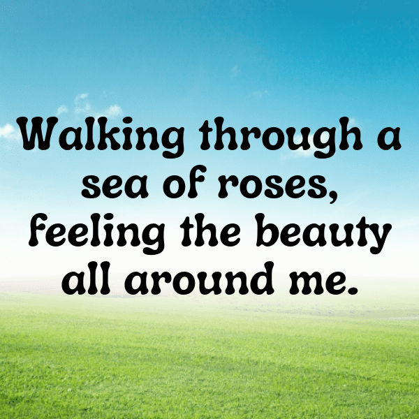 Rose Captions Photo For Instagram-JlavL4