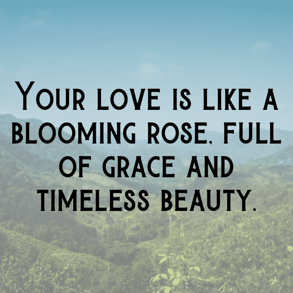 Rose Captions Photo For Instagram-YpQNyy