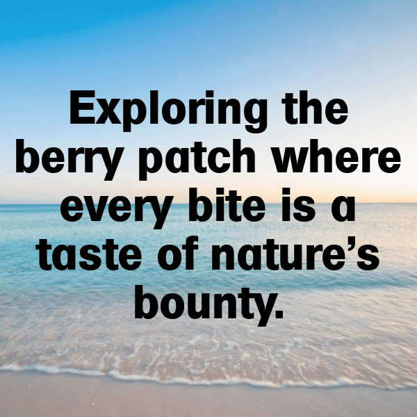 Rowan Berry Captions Photo For Instagram-xDMisH