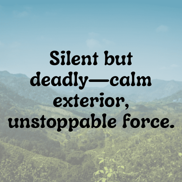 Royal Enfield Continental GT Captions Image for Instagram-Kuxmko