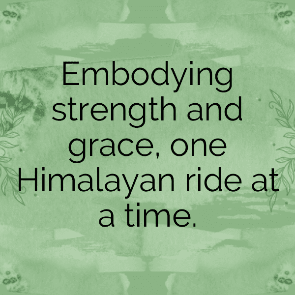 Royal Enfield Himalayan Captions Photo for Instagram-5HEt7D