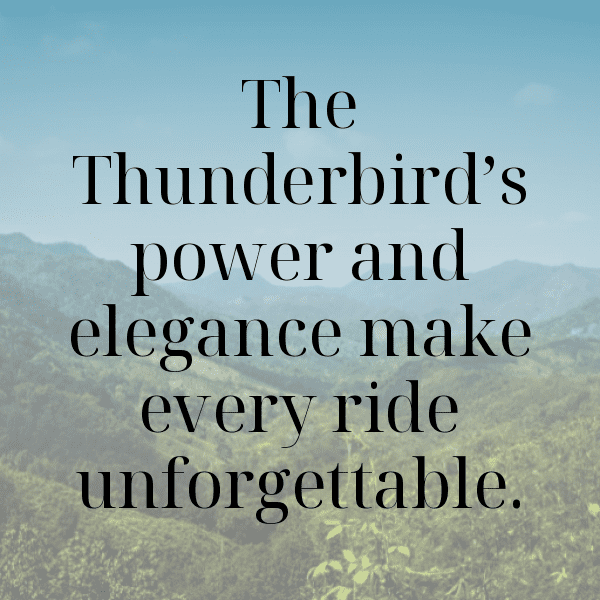 Royal Enfield Thunderbird Captions Image for Instagram-qm6dAK