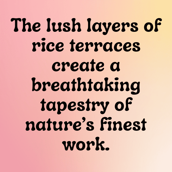 Rwanda Captions Photo For Instagram-c7DykL