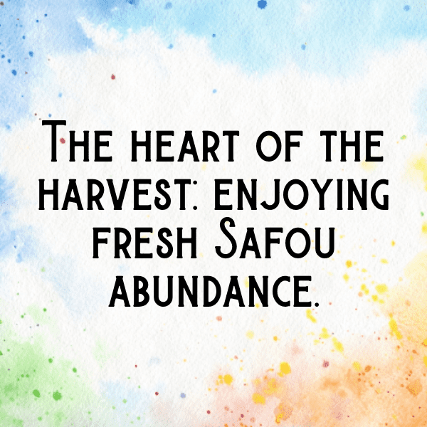 Safou Captions Image For Instagram-wDo76Z