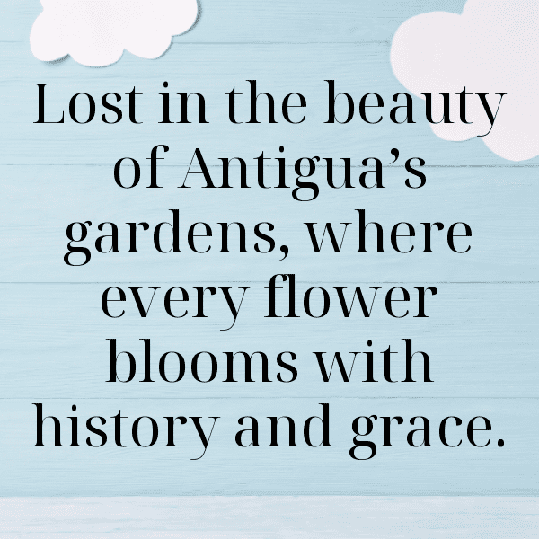 Saint Kitts and Nevis Captions Photo For Instagram-ptQFzy