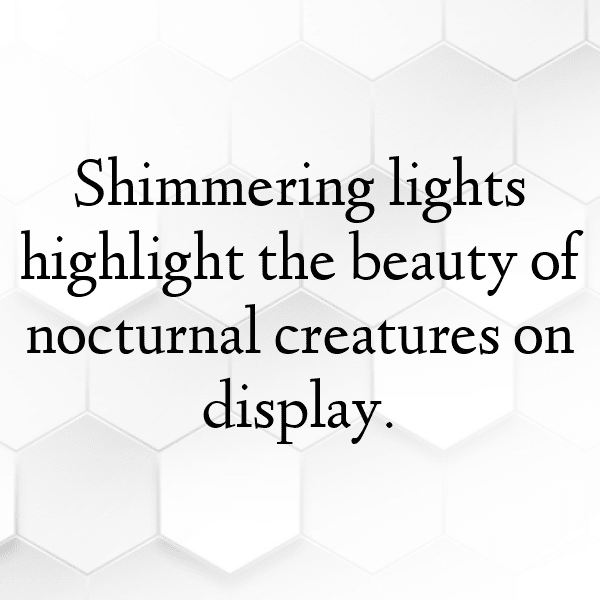 Salamander Captions Image For Instagram-EJ5eSB